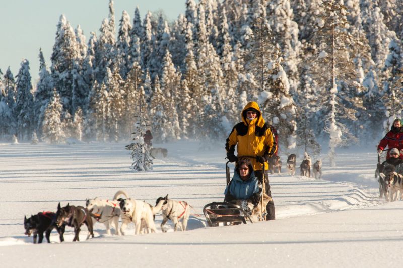 Huskysafari