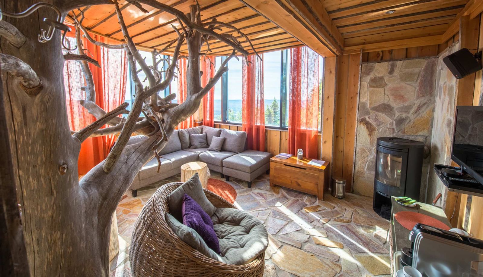 Kotkanpesä sviitti