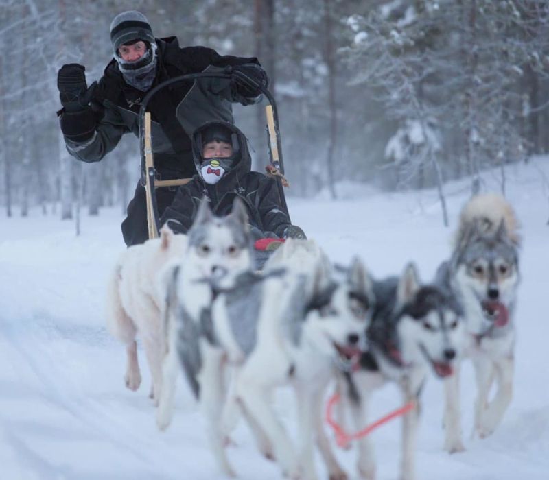 Huskypäiväsafari lounaalla