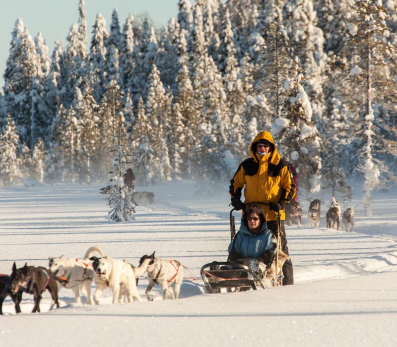Huskysafari