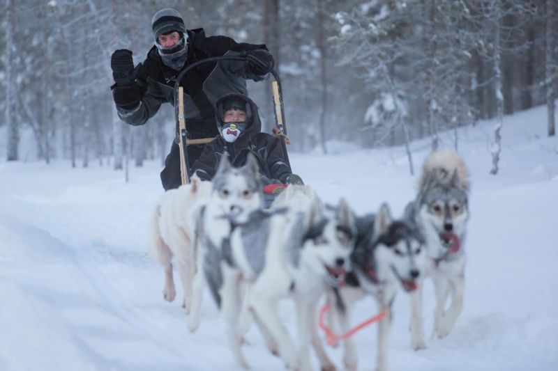 Huskypäiväsafari lounaalla