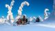 Winter Activites